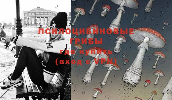 шишки Алзамай