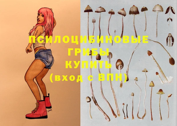 гидропоника Абинск