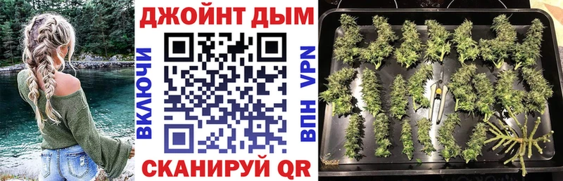 дарнет шоп  Шенкурск  Марихуана SATIVA & INDICA 